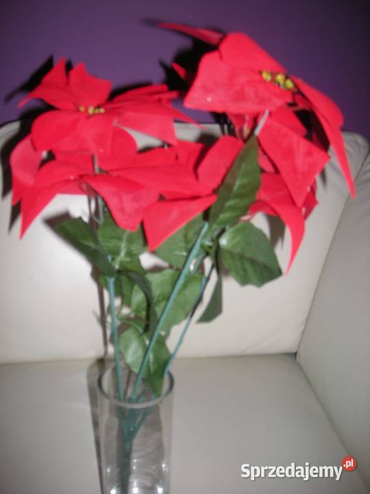 Gwiazda betlejemska sztuczna Gdańsk