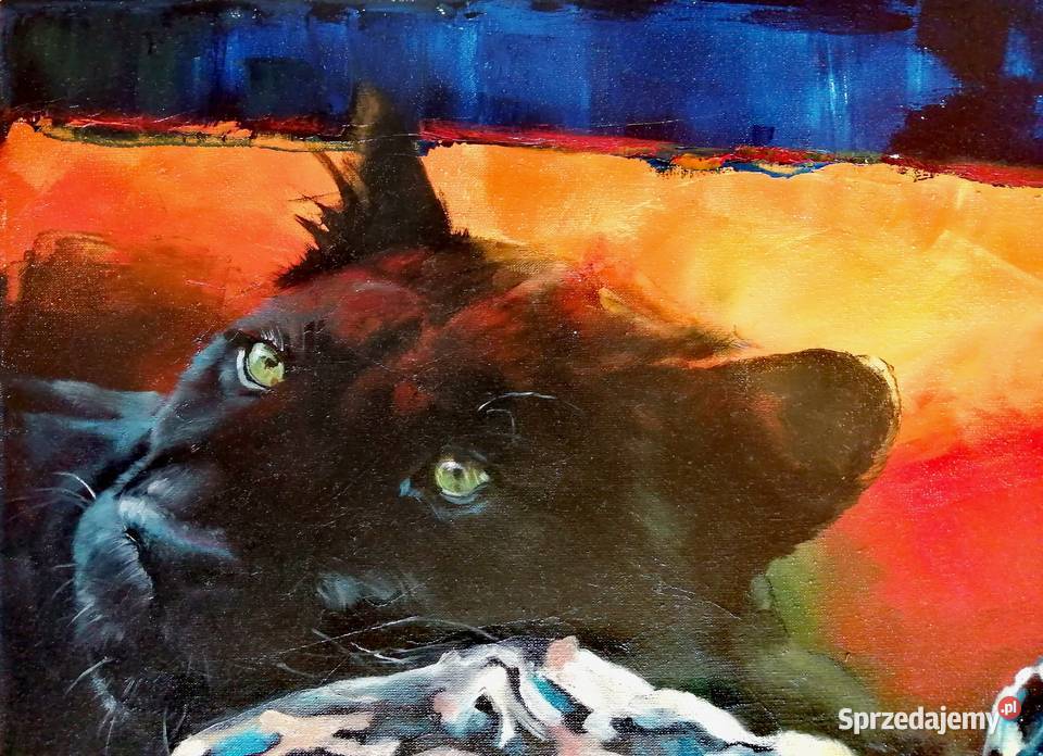 Obraz olejny Kobieta kot Malarstwo łódzkie Łódź