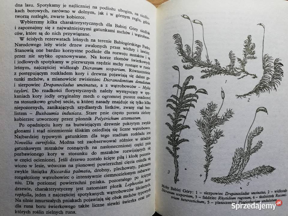 Babia Góra Teofil Wojterski ISBN 8321403247 Kraków