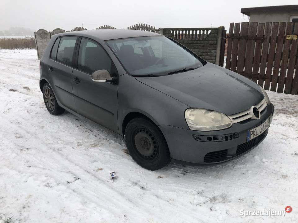 Vw Golf V 20 sdi BDK całość bądź czesci Golf Kłodawa