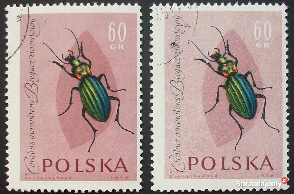 Polska1132113311341135113611371138113911401141114 Leźnica Wielka