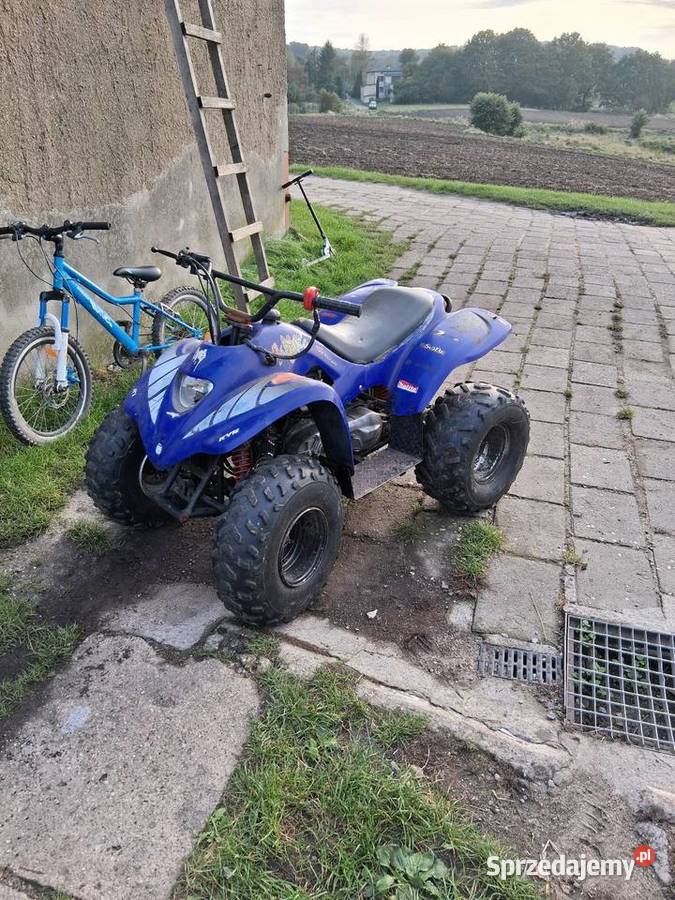Sprzedam quada 100cc 2t