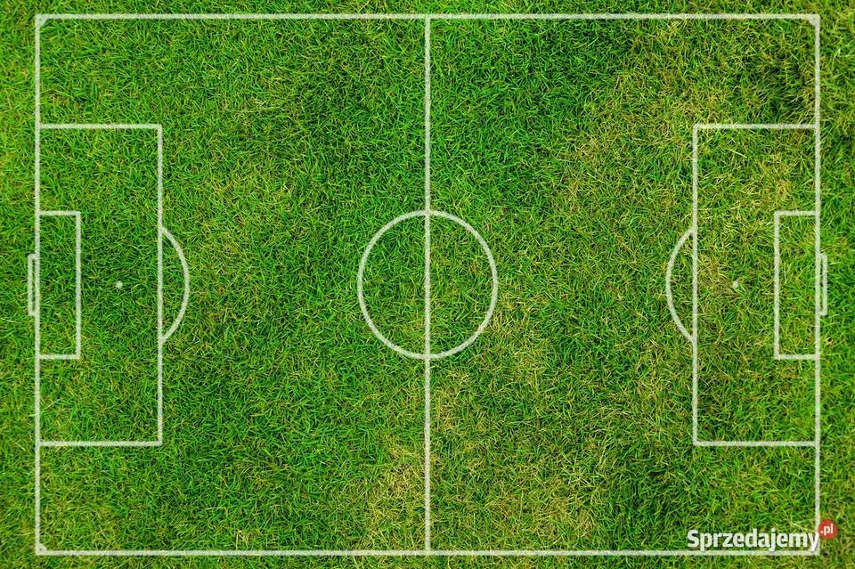 Trawa z rolki Trawa prosto z plantacji trawa Katowice