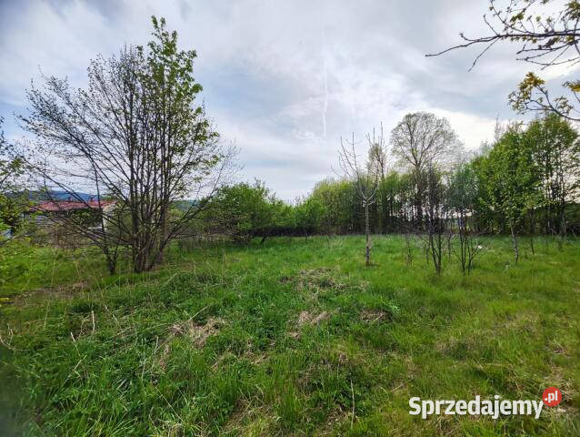 sprzedaży działki Pobiedna Podgórna 3800 metrów 155zł/m2 sprzedam