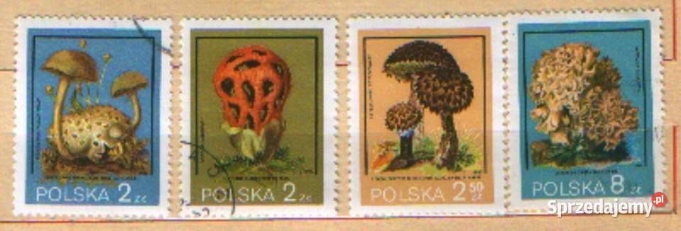 Zn Fi 2545 6 8 9 kas 1980 Gliwice