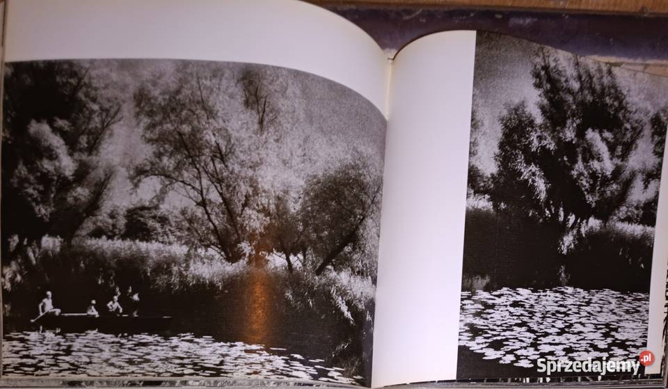 Wierzby Edward Hartwig Warszawa 1989 Sport i Kraków