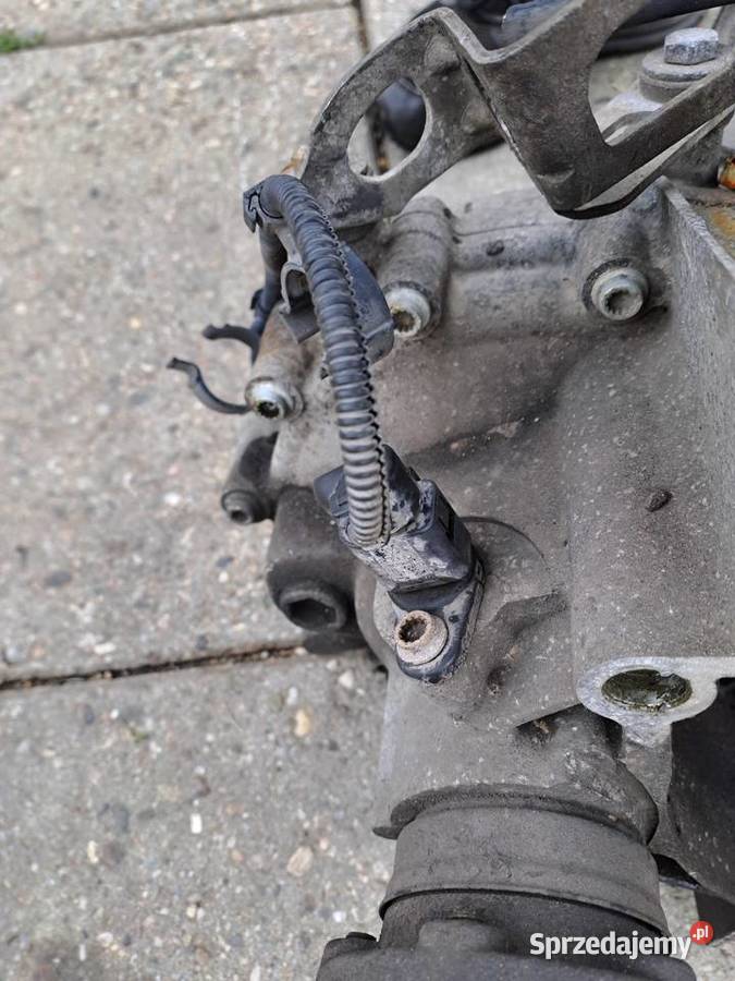 Audi Seat Skoda Volkswagen 14 16V skrzynia śląskie Jastrzębie-Zdrój