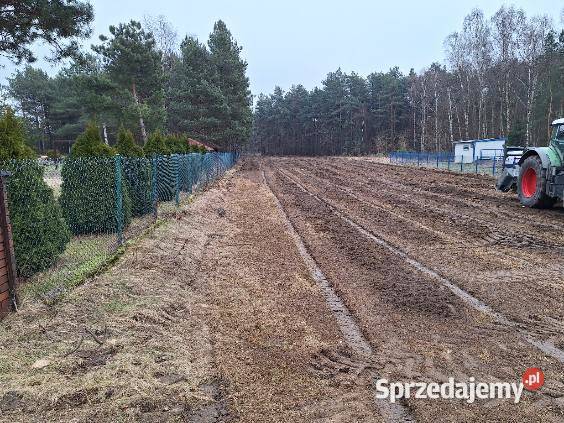 Wycinka drzew Czyszczenie działek Mulczowanie śląskie Dąbrowa Górnicza