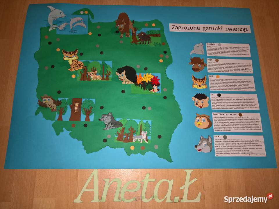 Plakaty szkolne plakaty konkursowe z brystolu Ryki