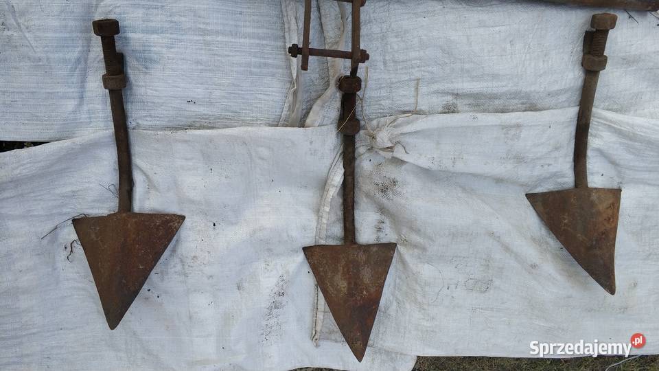 margiel konny radło