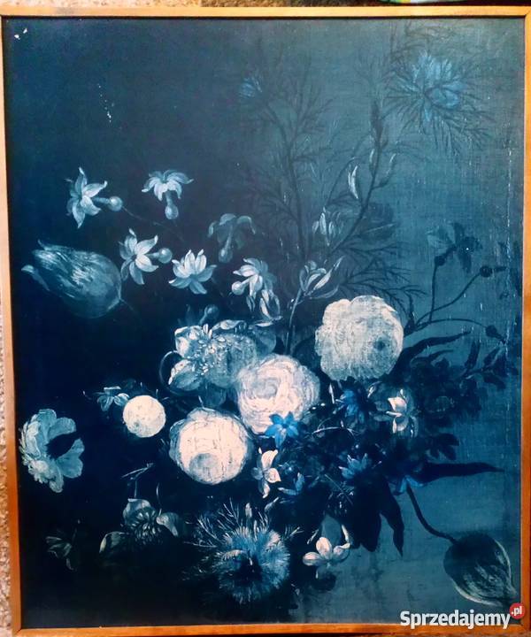 Rekonstrukcja obrazu podkarpackie Lesko