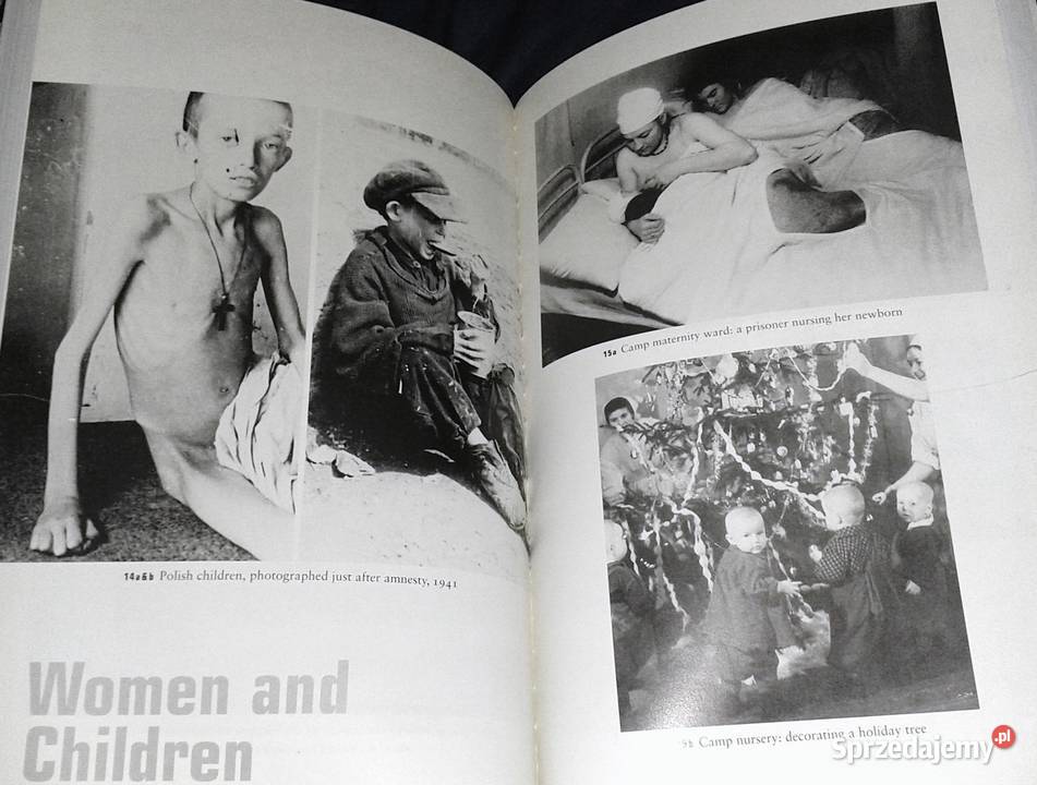 Gulag A History of the Soviet Camps Anne miękka Chełm sprzedam