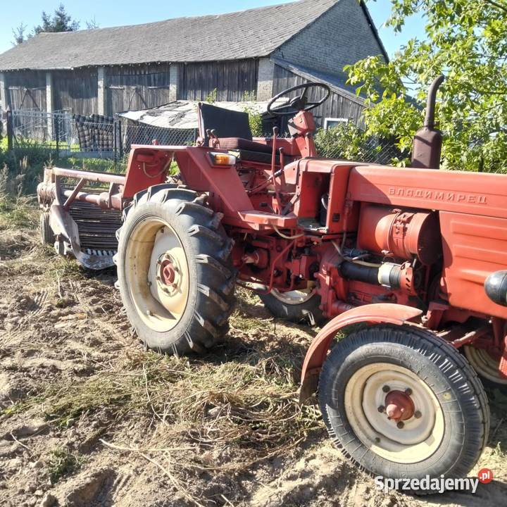 Władymirec T25 w oryginale 423 mh wszędzie Siedlce sprzedam