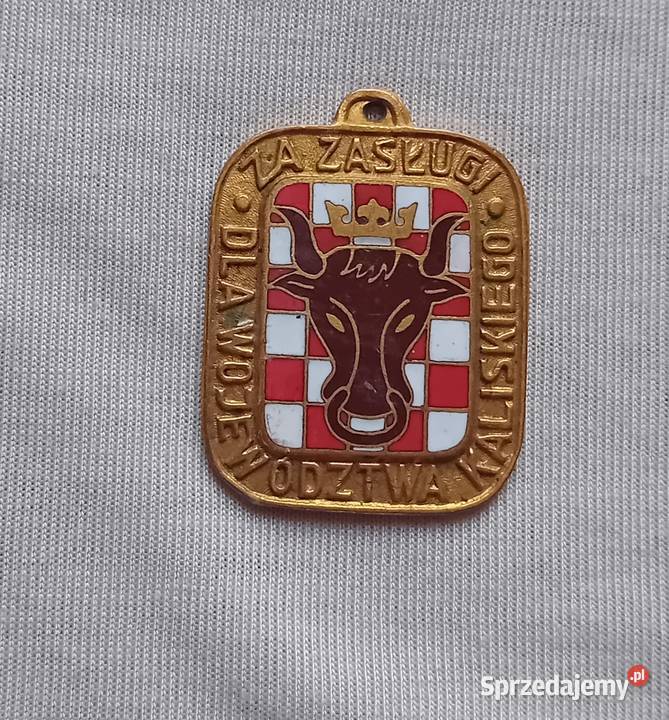 Zasługi Województwa Kaliskiego imienna 26580 wielkopolskie Koźminek