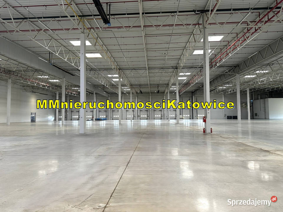 Magazyny do wynajęcia Ruda Śląska A4 do 13150 m2