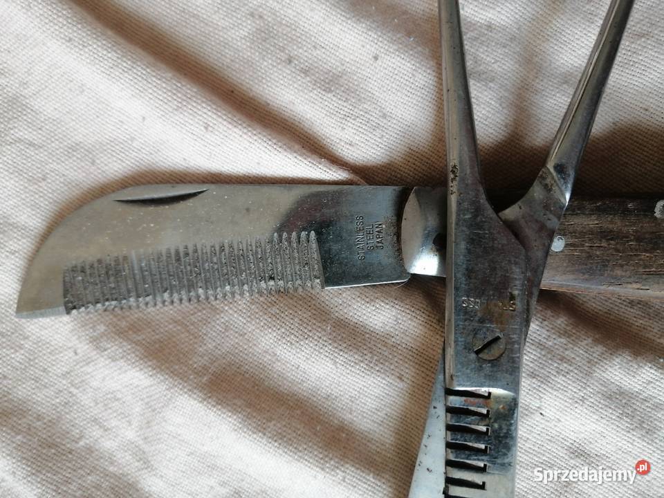 nożyczki degażówki konia dolnośląskie Legnica