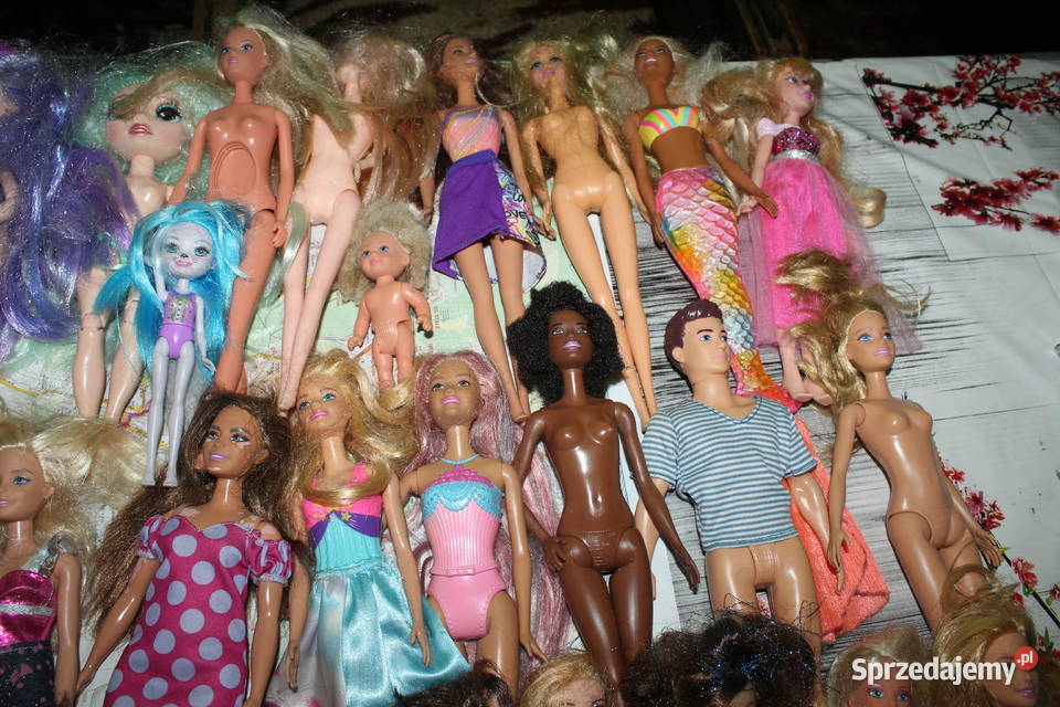 Zestaw 37 lalek Barbie Ken Mattel
