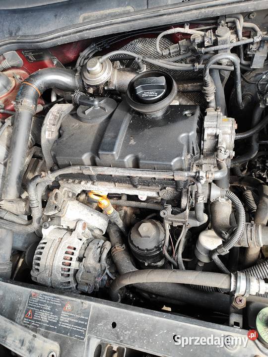 Volkswagen Polo Silnik AMF 14 TDI pompowtrysk Części samochodowe Żywiec