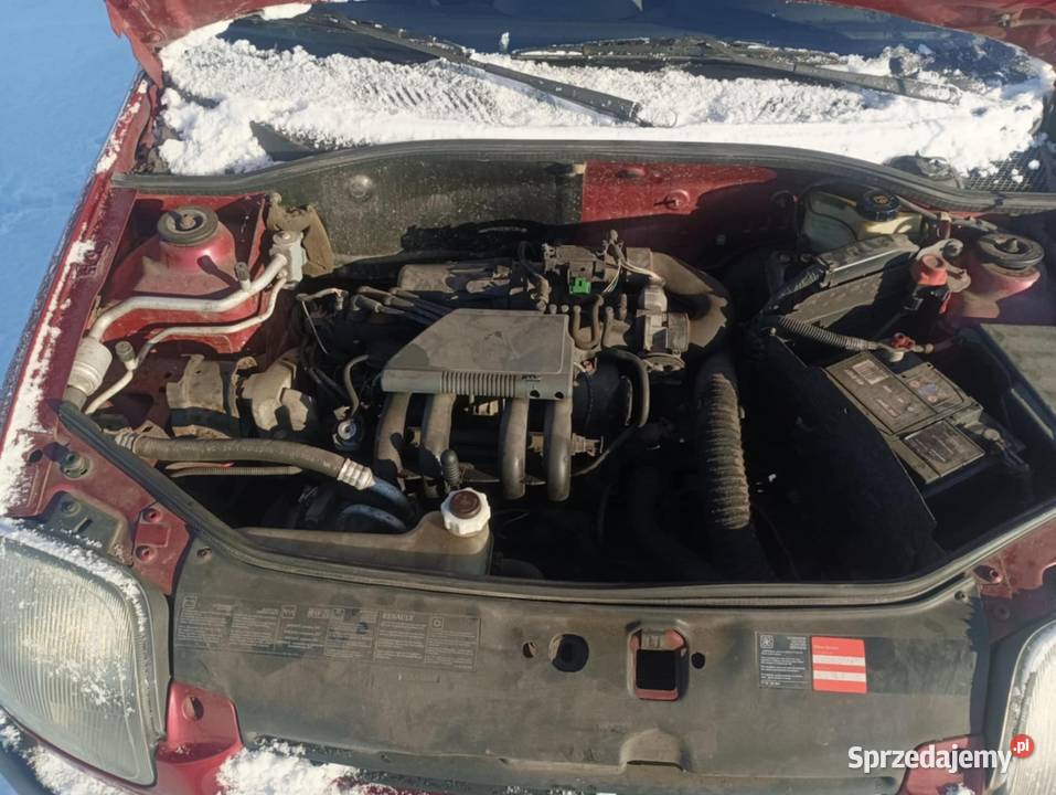 Renault Clio Łanięta