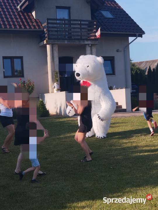 Biały miś i królik Września