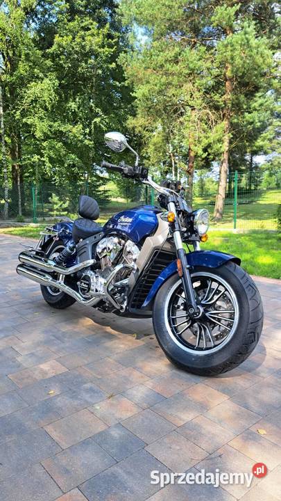 Indian scout 1100 abs 2019r.