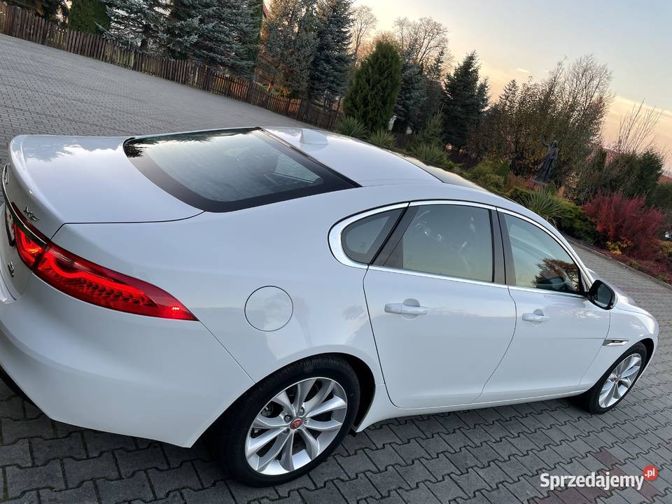 Jaguar XF 20 Benzyna 247hp 25t Premium AWD 2019 ASR (kontrola trakcji) Osobnica