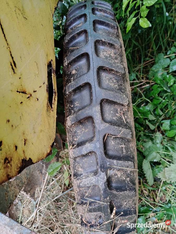 Siewnik poznaniak nieuszkodzony Złotoryja