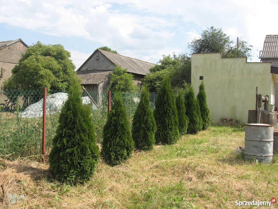 Gospodarstwo rolne dom z działką w Potworowie rolna Grunty i działki Potworów