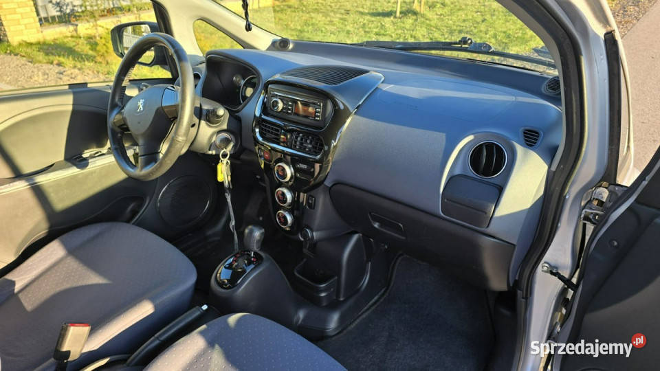 Peugeot iOn 48KM Karczew