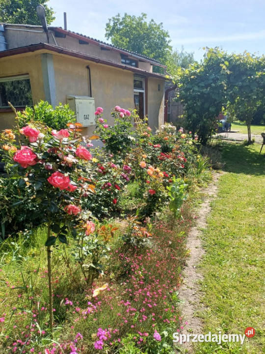 2 zlaczone dzialki budowlane calosc na sprzedaz Sprzedaż podkarpackie