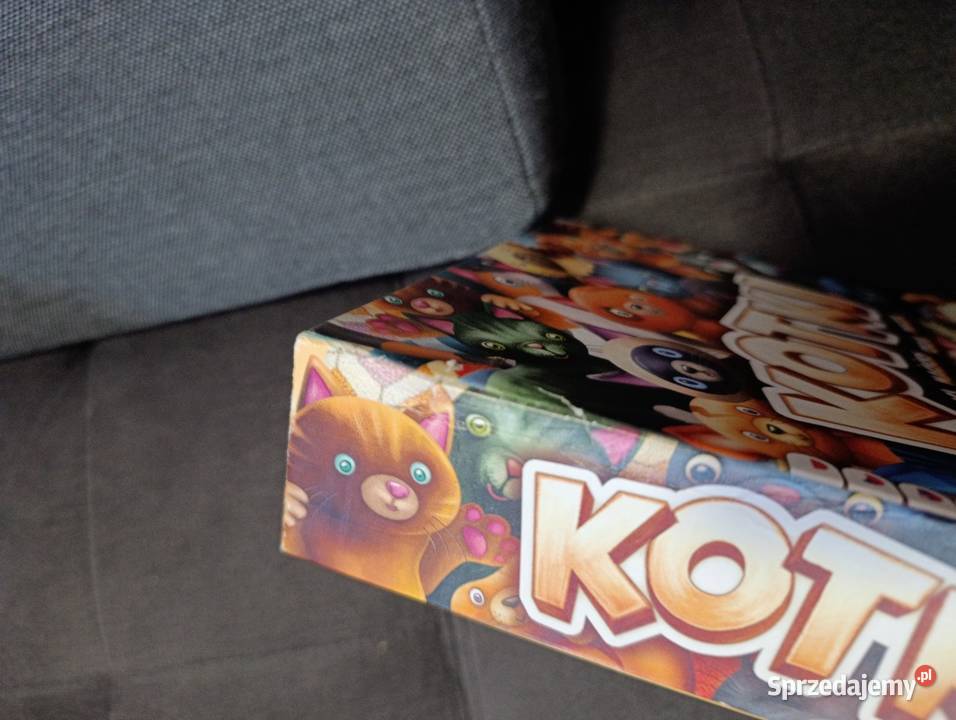 Gra kotki trefl wielkopolskie