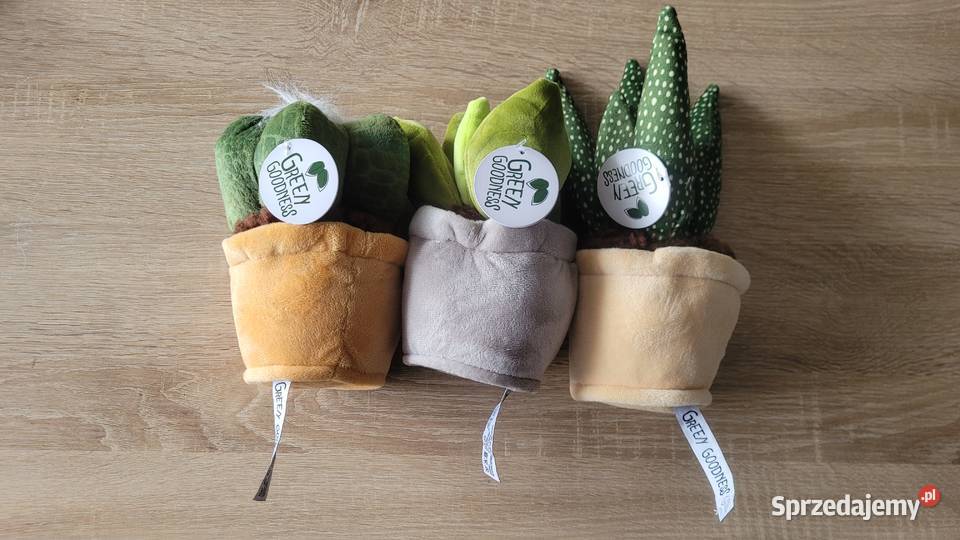 Kwiatek pluszowy maskotka sansewieria sukulent