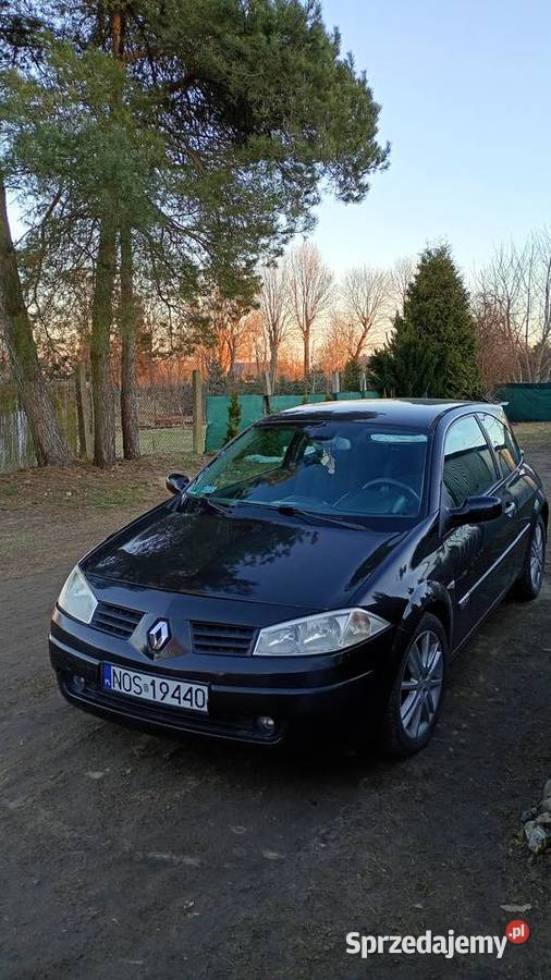 Renault Megane 2 16 Benzyna nieuszkodzony pomorskie Malbork
