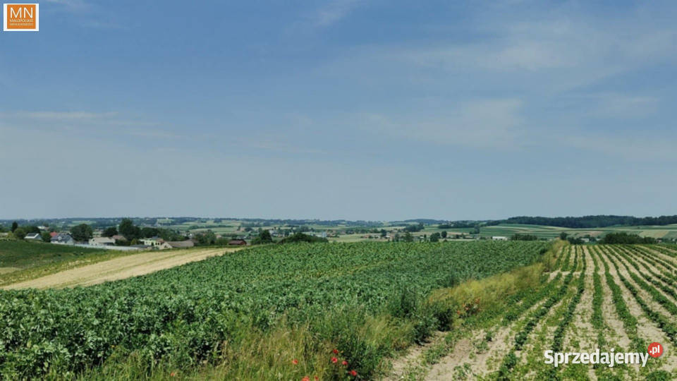 Grunt Koszyce 12142 metry