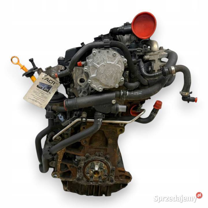 SILNIK BXE Audi A3 II 8P Skoda Octavia Superb II sprzedam