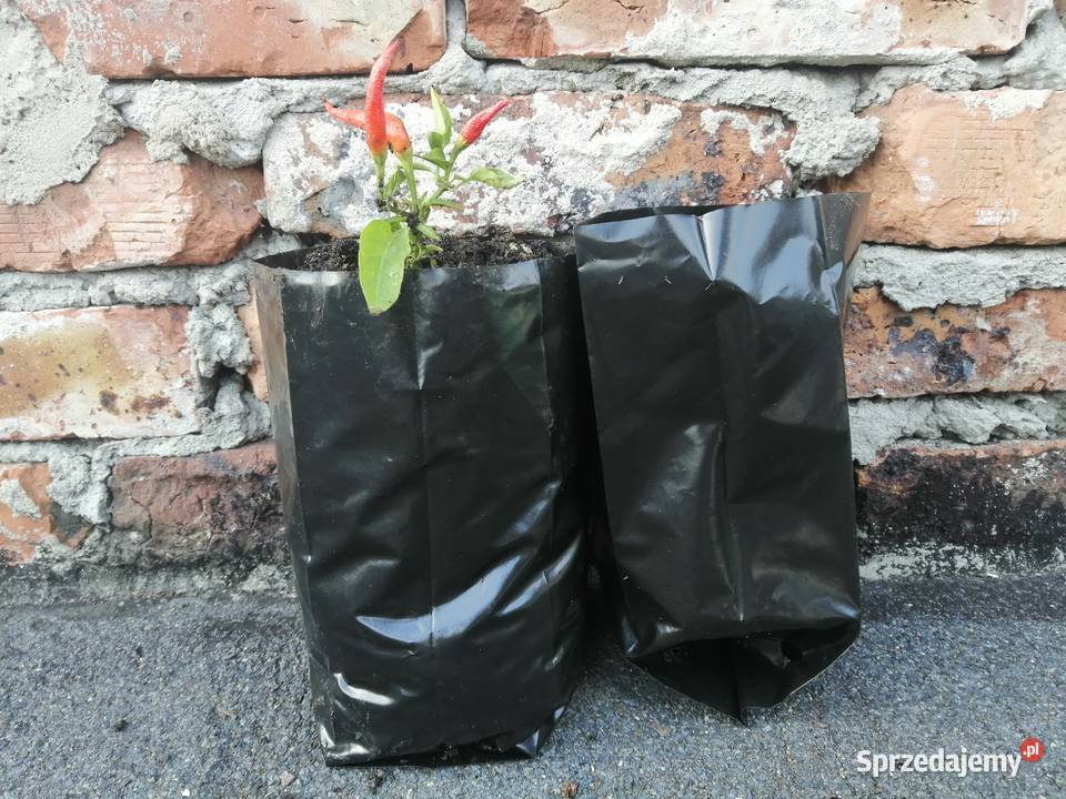 Doniczki foliowe 2L produkcyjne PRODUCENT Siewierz