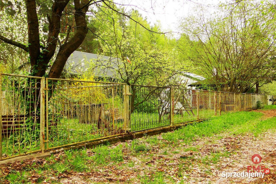 Grunt 8316m2 Rafałówka Sprzedaż sprzedam