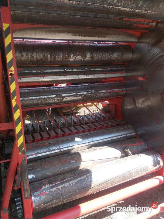 Prasa