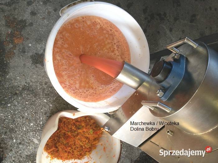 Tłoczenie pasteryzacja soków Pławna Dolna