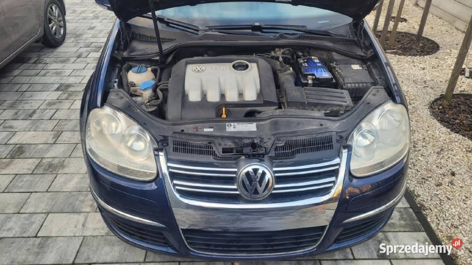 Volkswagen Golf V bezwypadkowy pierwszego granatowy Golf Poznań
