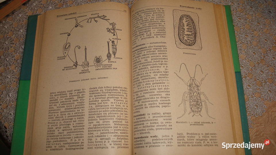 Mały słownik biologiczny js Kruszwica