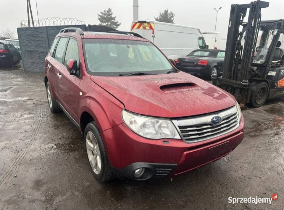 Subaru Forester cała na części silnik diesla osobowe Silniki kompletne Szprotawa sprzedam
