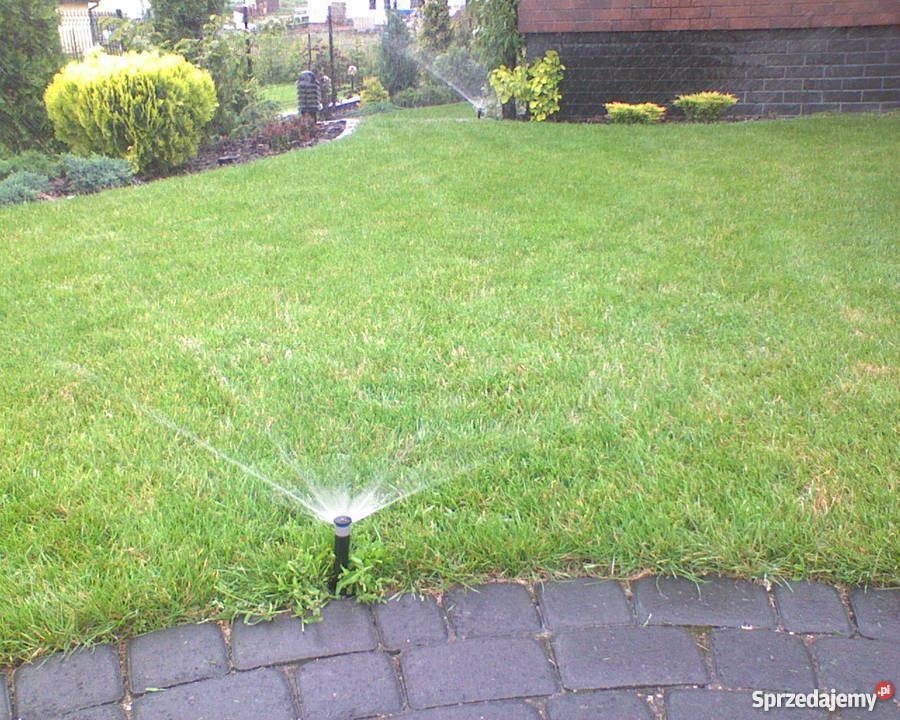 nawadniaanie ogrodów Nawadnianie Gdańsk