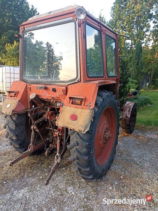 MTZ 550 z silnikiem D240 80 Złotnik