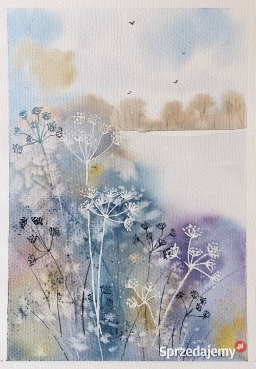 Akwarela Akwarelka Obraz pt Podagrycznik Warszawa