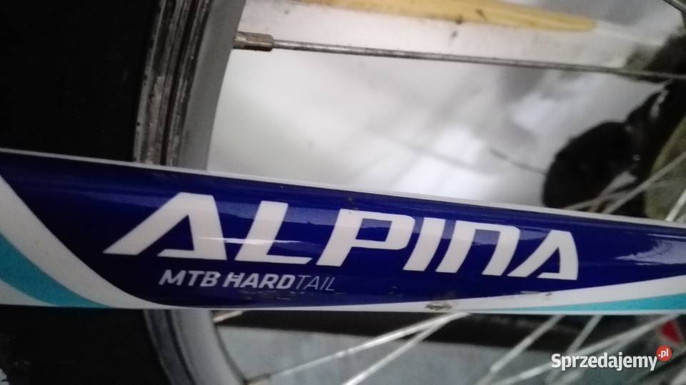 Rower Górski Alpina Eco Górskie, MTB Wałbrzych
