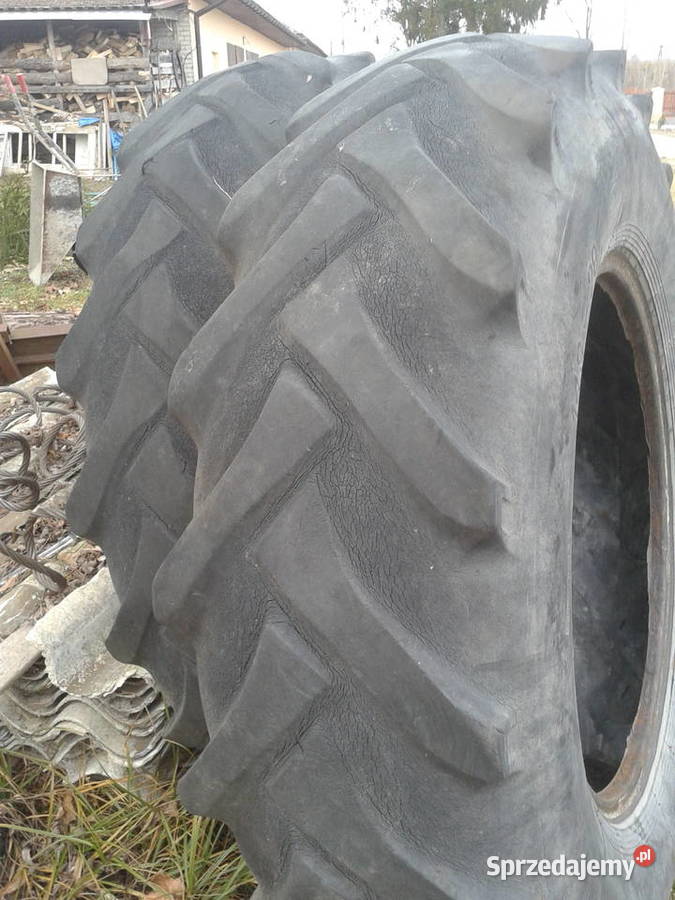 oponydetki Sosnowica