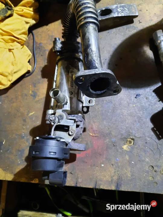 Części do silnika M9R trafic laguna Leszno