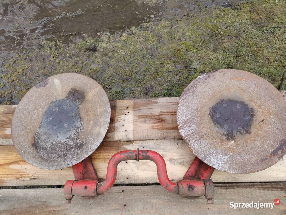 Krój tarczowy Pozostałe