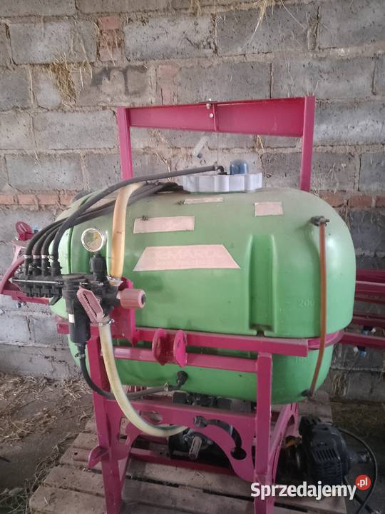 Sadzarka wielkopolskie Dąbroszyn